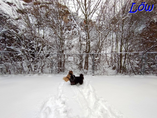 21.1.2023 - Alter Steinbruch im Schnee